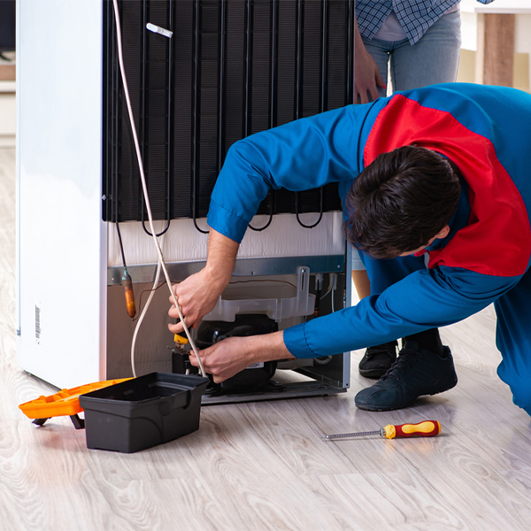 what are the common refrigerator repair services in Spring Valley Village